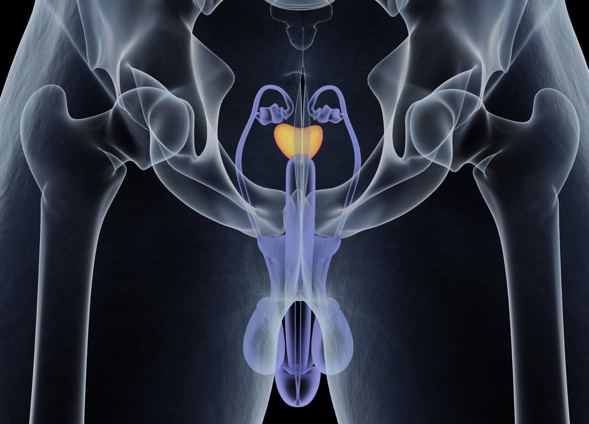 Prostate Medical Problems Signs It’s Time to See a Doctor for Prostate Problems - Prostate Online